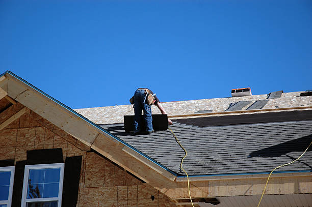 Best Asphalt Shingle Roofing  in Burlington, WI